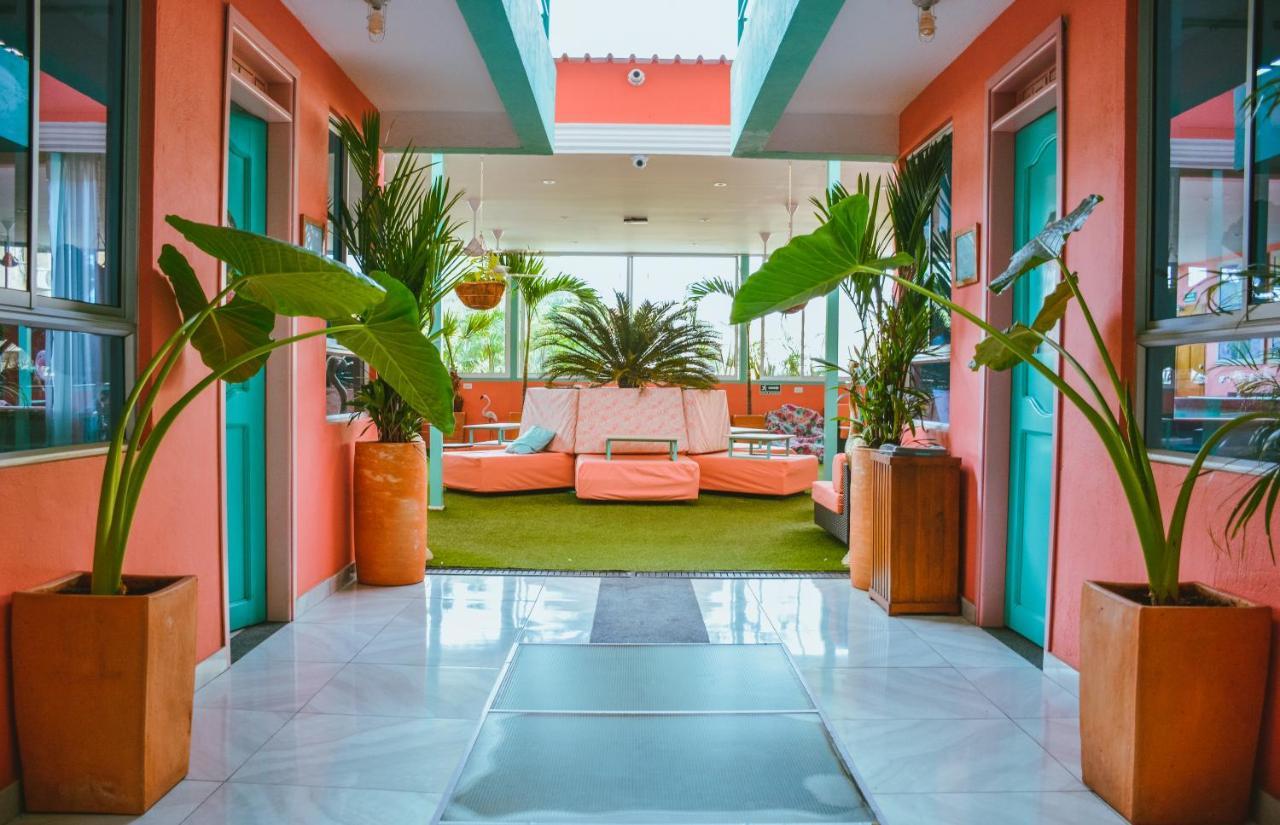 Flamingo Hostel & Coworking Santa Marta  Dış mekan fotoğraf